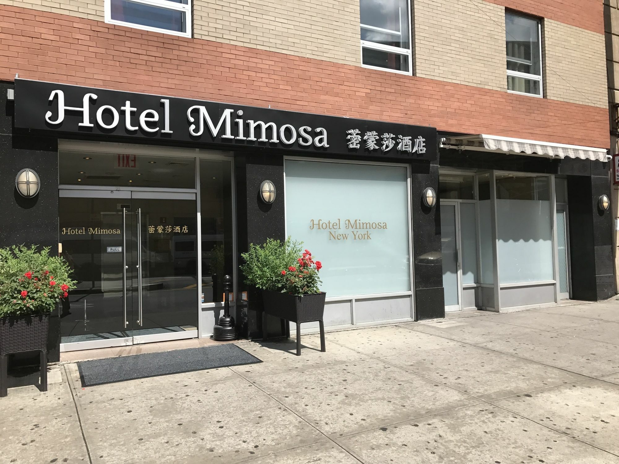 Mimosa 3* Nova York